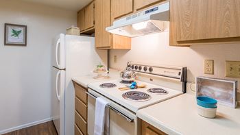 Cantera kitchen with plenty of cabinetry, stove, and fridge